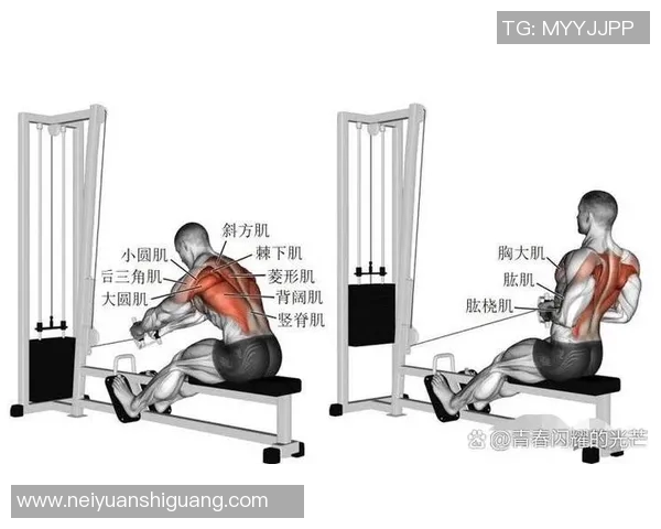 打造完美身材的哑铃健身秘籍胸肌腹肌肱二头肌全面锻炼指南