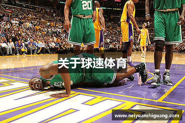 关于球速体育